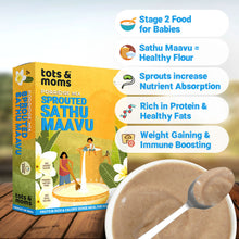 Load image into Gallery viewer, Buy 3 Porridge Mixes & Get 1 Nuts & Seeds Powder FREE