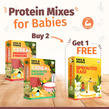 Load image into Gallery viewer, Buy 2 Instant Mixes &amp; Get 1 Sprouted Ragi Powder FREE
