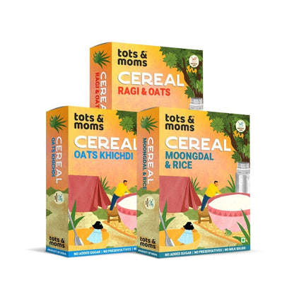 Travel Foods Combo - 1 | Pack of 3 - Tots and Moms - BeNative Ventures Pvt. Ltd